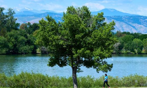 sloan lake landscape
