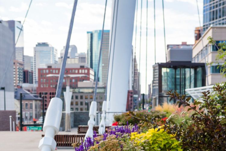 flowers and bridge in highlands denver 750x500