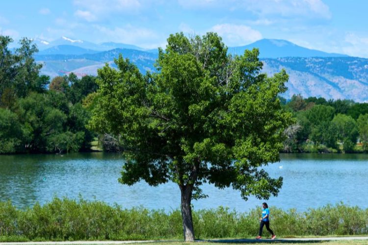 outdoor nature water mountains trees square 750x500