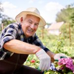 mullen residences senior man working in garden
