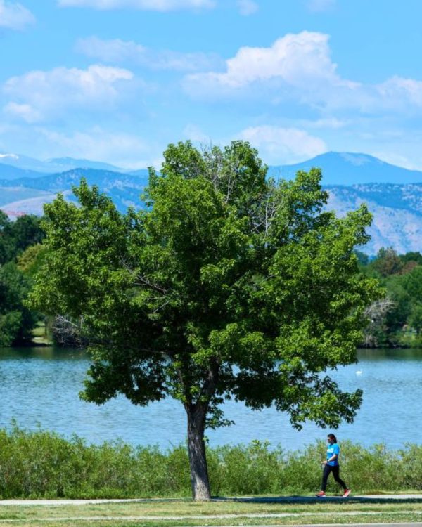 sloans lake portrait